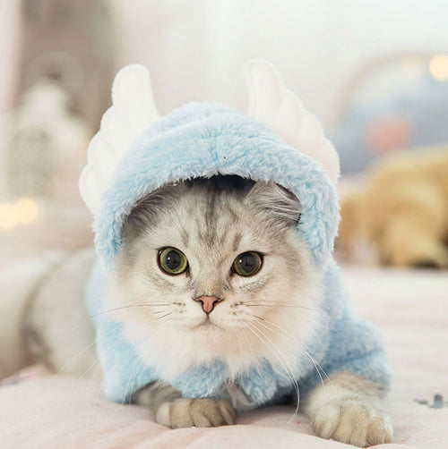 Premium Pet Hoodies