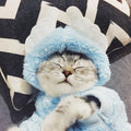 Premium Pet Hoodies
