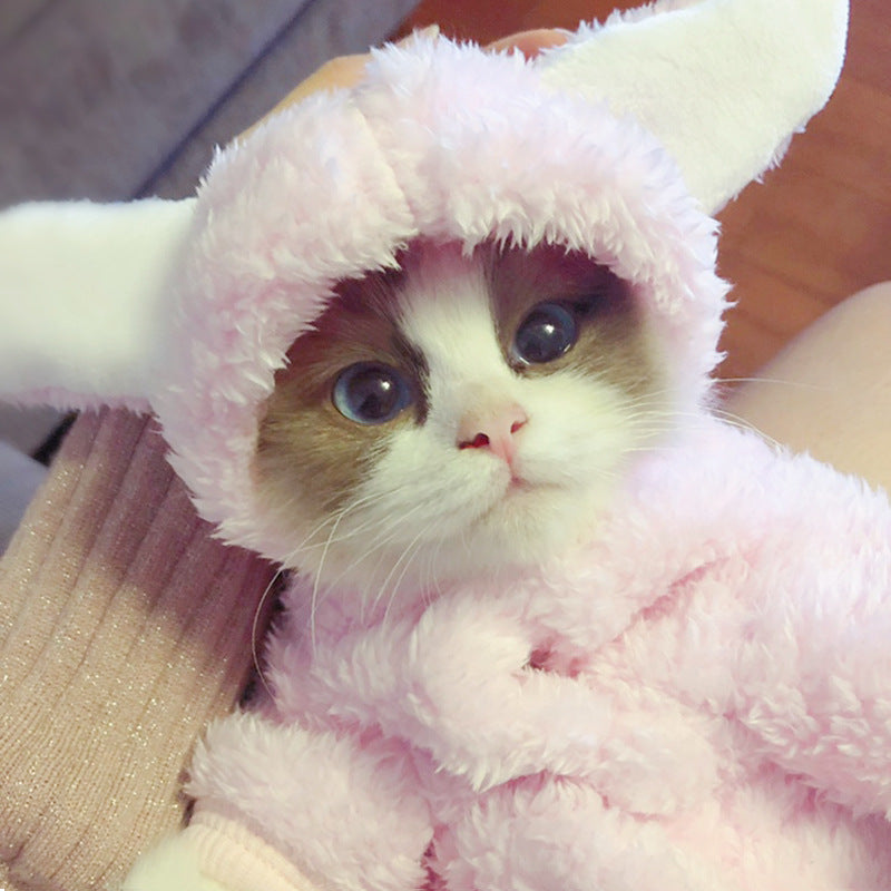 Premium Pet Hoodies