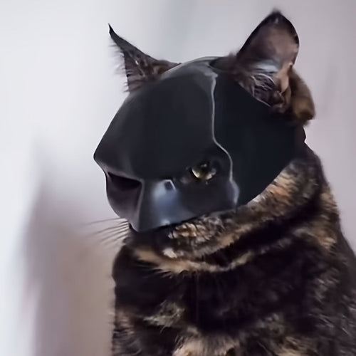 The Bat Mask