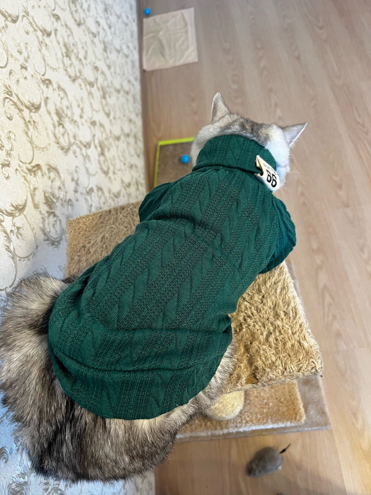 Premium Turtleneck Sweater