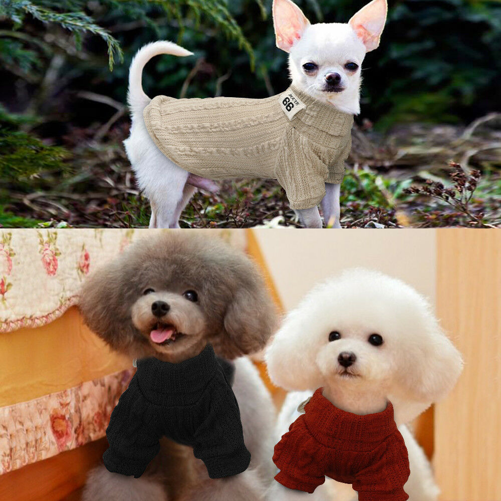 Premium Turtleneck Sweater