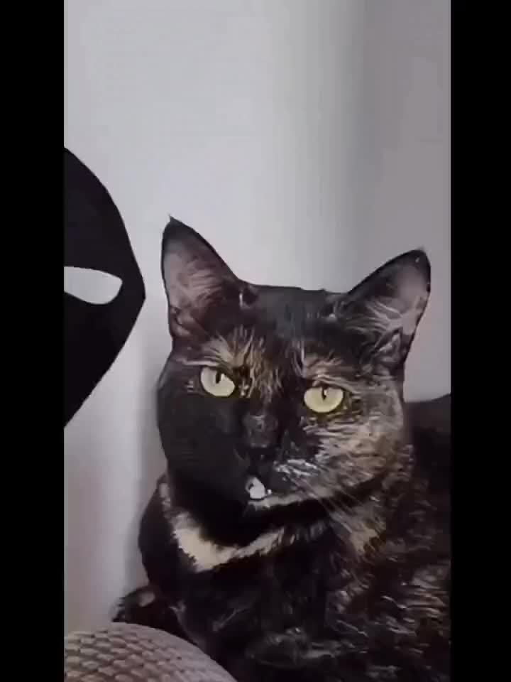 The Bat Mask