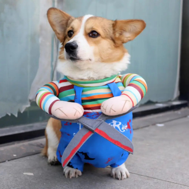 Purr-sessed Doll Halloween Cat Costume